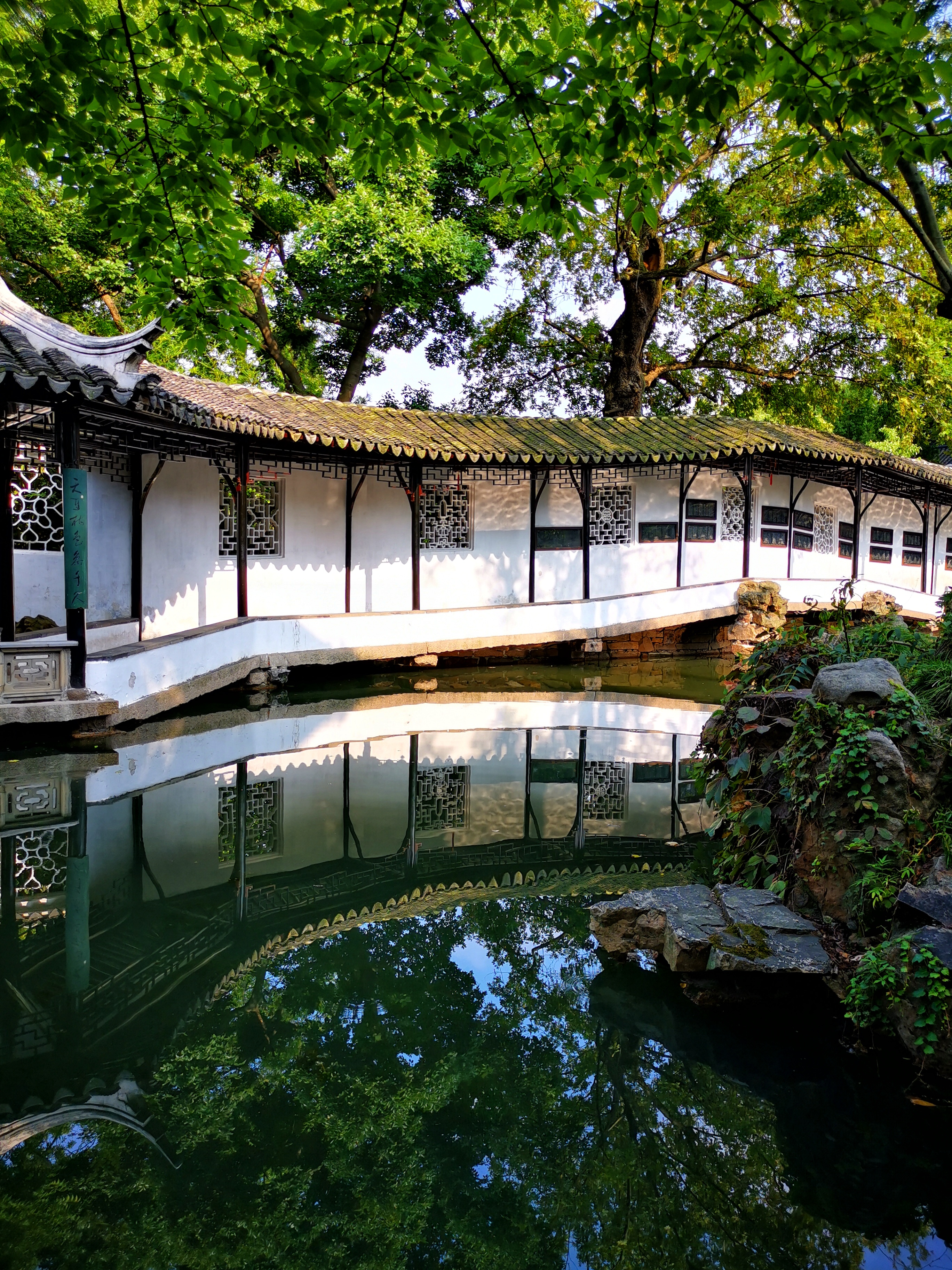手機里的中國世界遺產 | 在蘇州園林讀懂江南