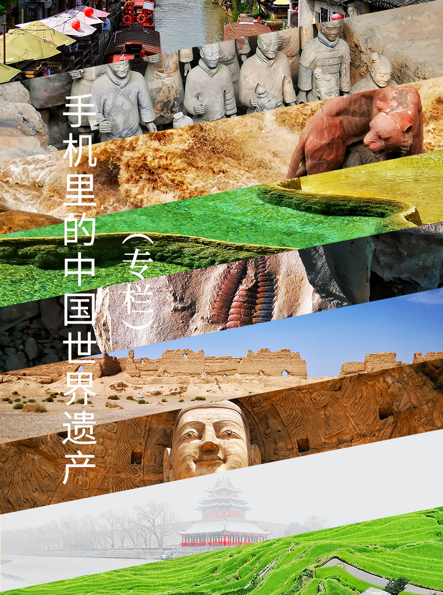 四川大熊貓棲息地：一個“活的博物館” | 手機里的中國世界遺產