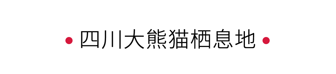 四川大熊貓棲息地：一個“活的博物館” | 手機里的中國世界遺產