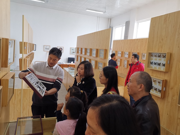 “追蝶人”郭為：愛上昆蟲文化的體育老師