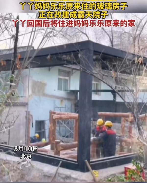 大熊貓“丫丫”回國流程走到哪一步了？最新回應(yīng)