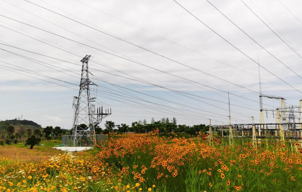 四川能投所屬四川省水電集團：全力備戰迎峰度夏保供電