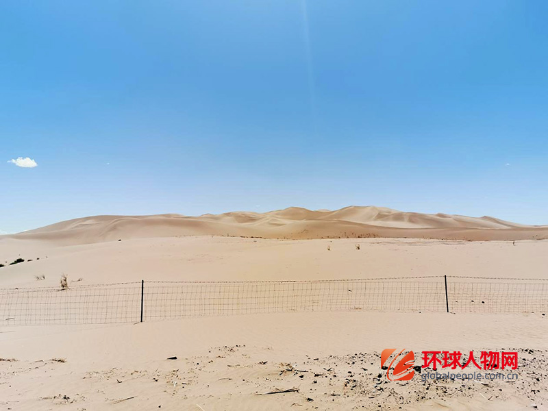 圣牧：沙漠逆行，找回兩千年前的綠洲