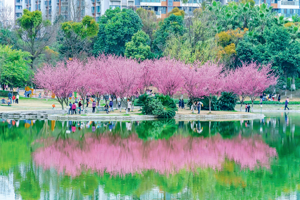 煙火慢城,在水一方