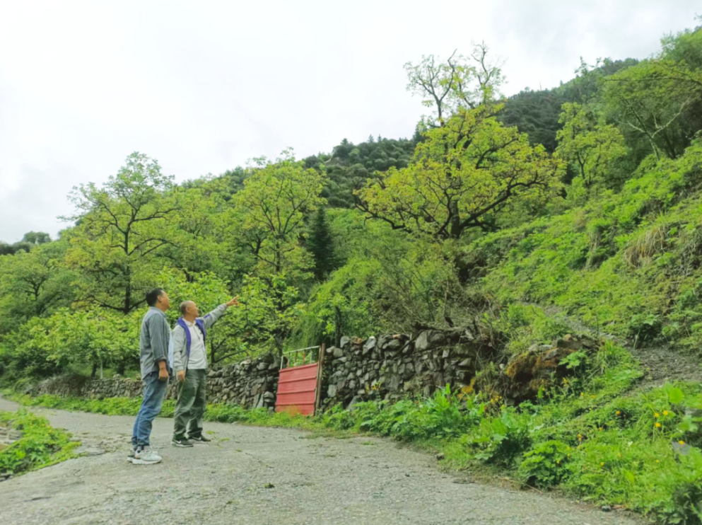 “建行老兵”晉松:往前沖,不能“松”