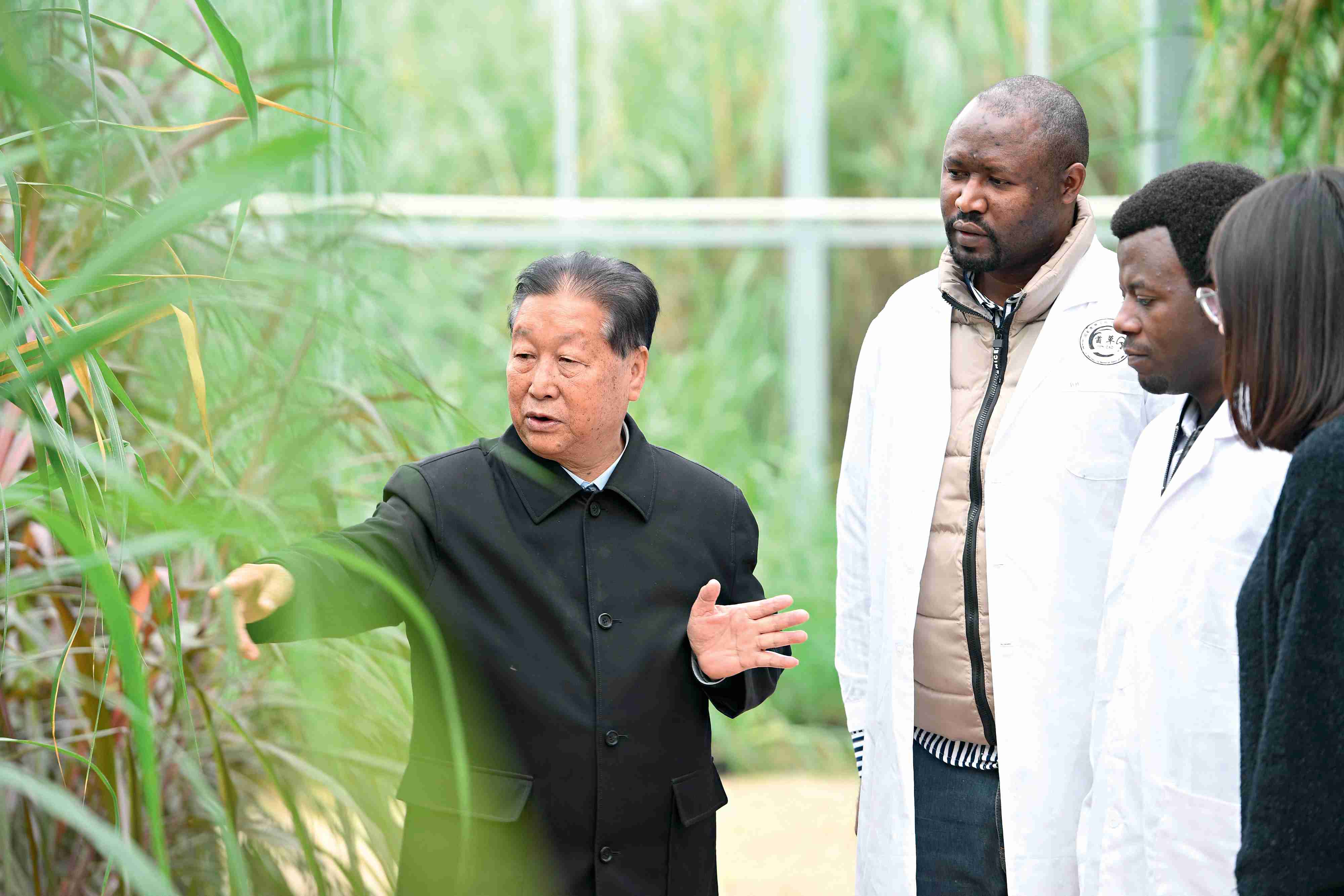 十年花開 “我們看到了朋友應有的樣子”