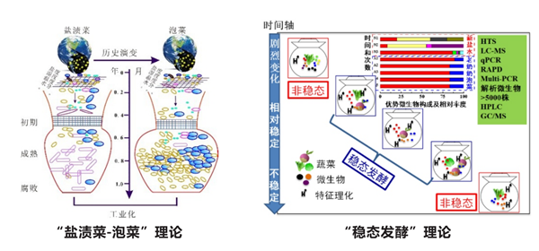 用科技創新書寫食品發酵的“寶典”