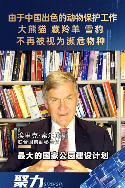 埃里克·索爾海姆：由于中國出色的動物保護工作，大熊貓、藏羚羊、雪豹不再被視為瀕危物種