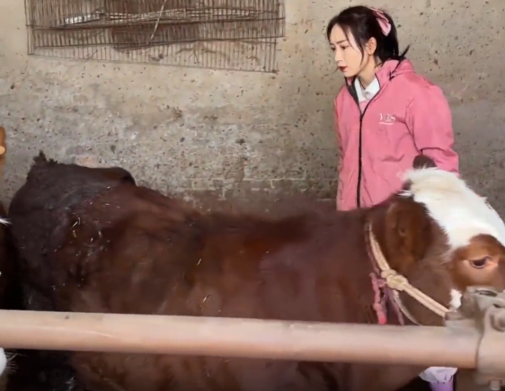 “穿得粉、治得準(zhǔn)”！這位95后女獸醫(yī)，牛！