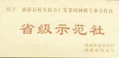 陳國棟：開荒種沃柑結出“共富果”