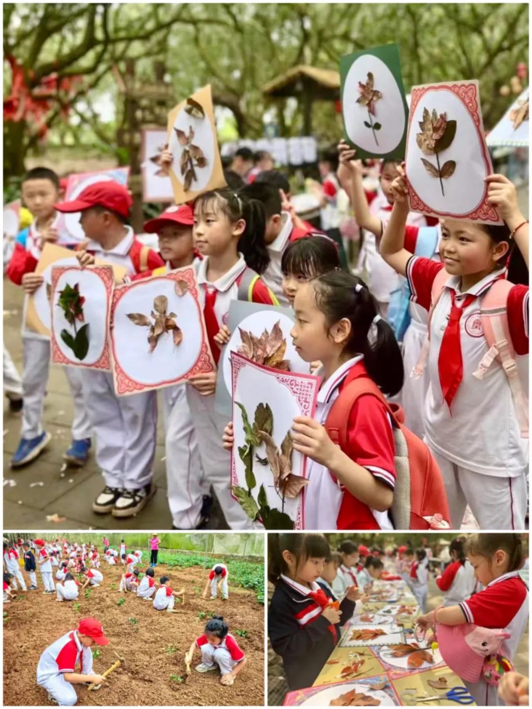 海口南湖紅色文化研究院祝賀與北京師范大學海口附屬學校春季研學旅行活動圓滿成功