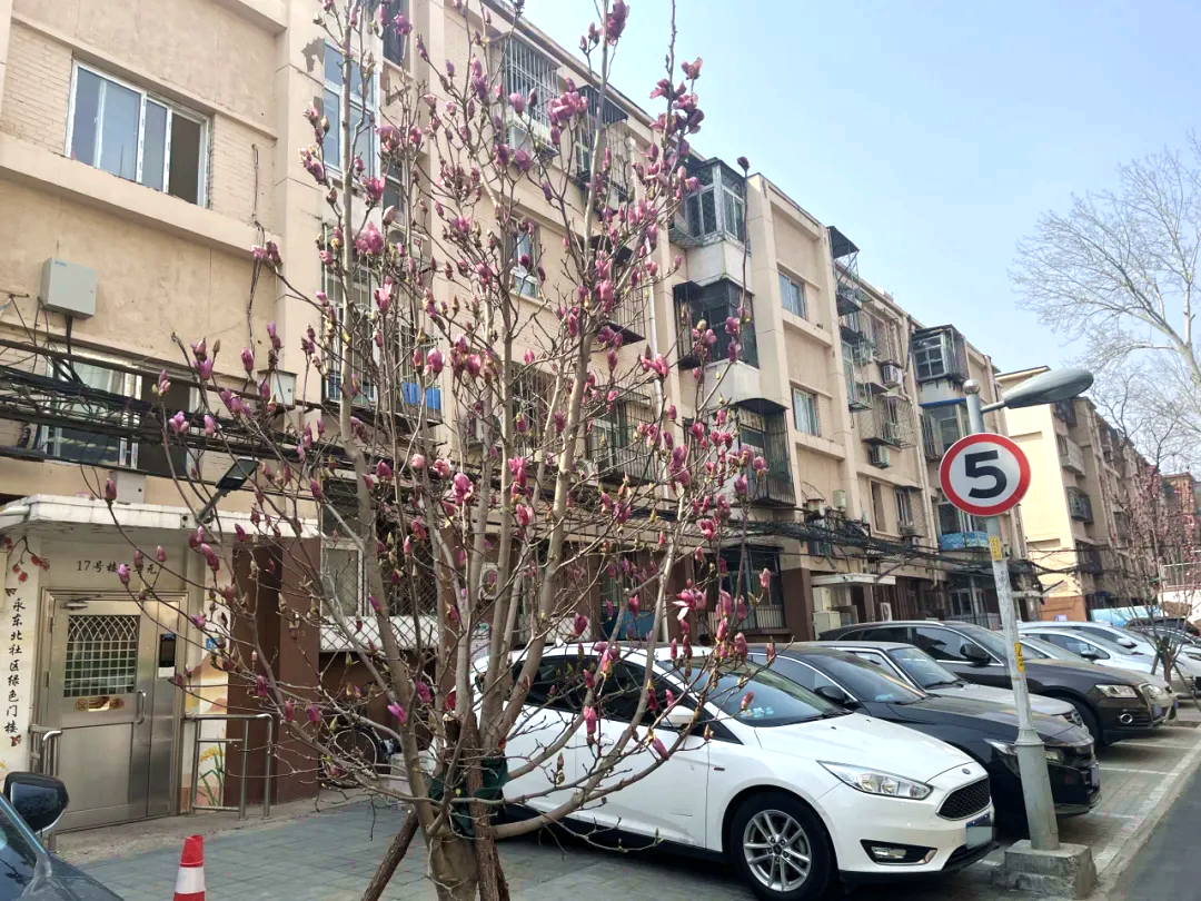 微空間微改造 擦亮文明風景線