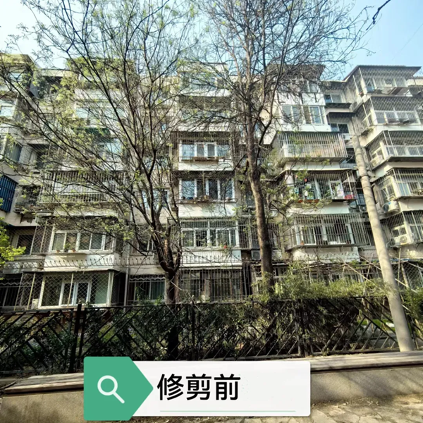 “小事”不“小視” ，解憂暖民心