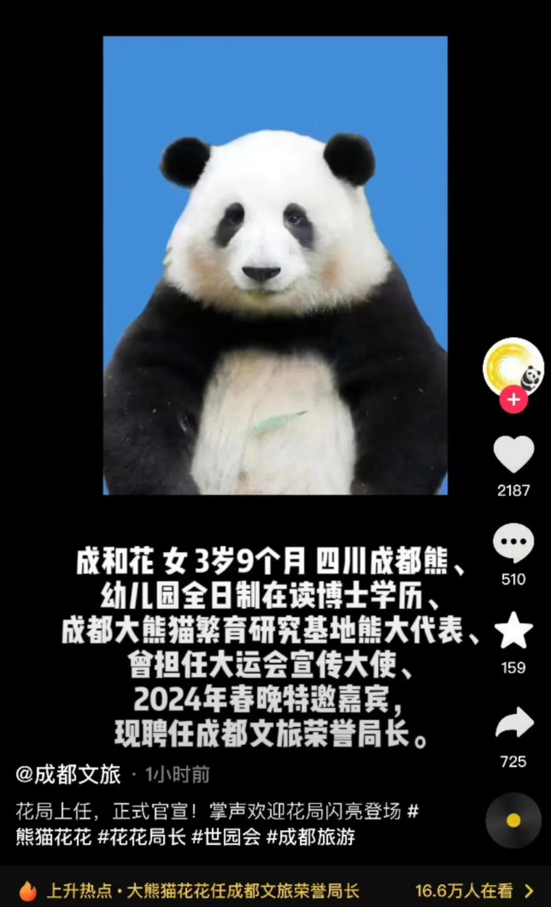 成都官宣！“花局”上任