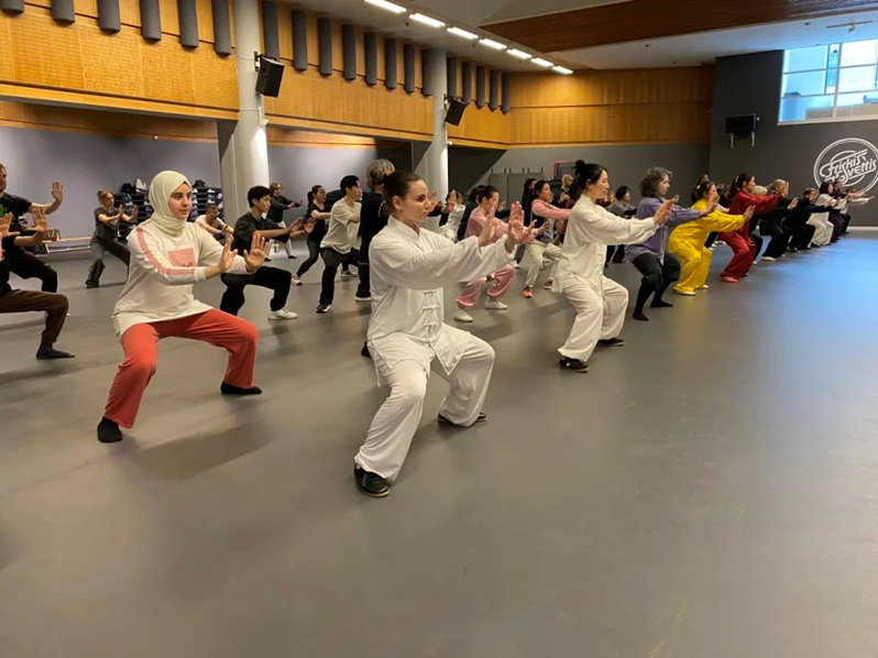 Tai Chi Day theme event held in Sweden