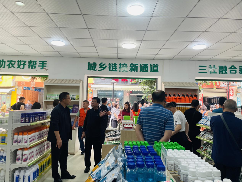 全國供銷總社農業社會化服務提質擴面與高質量發展培訓班在重慶成功舉辦