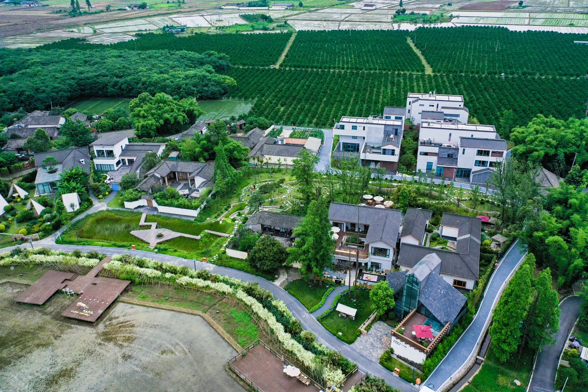 一粒良種,助力鄉村振興
