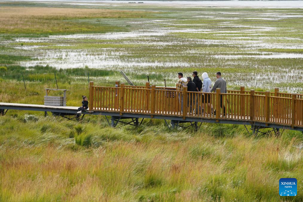 Scenery of Gahai Lake wetland in NW China