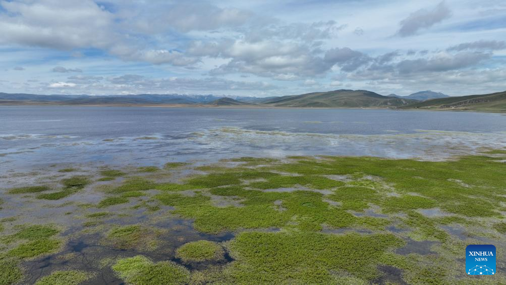 Scenery of Gahai Lake wetland in NW China