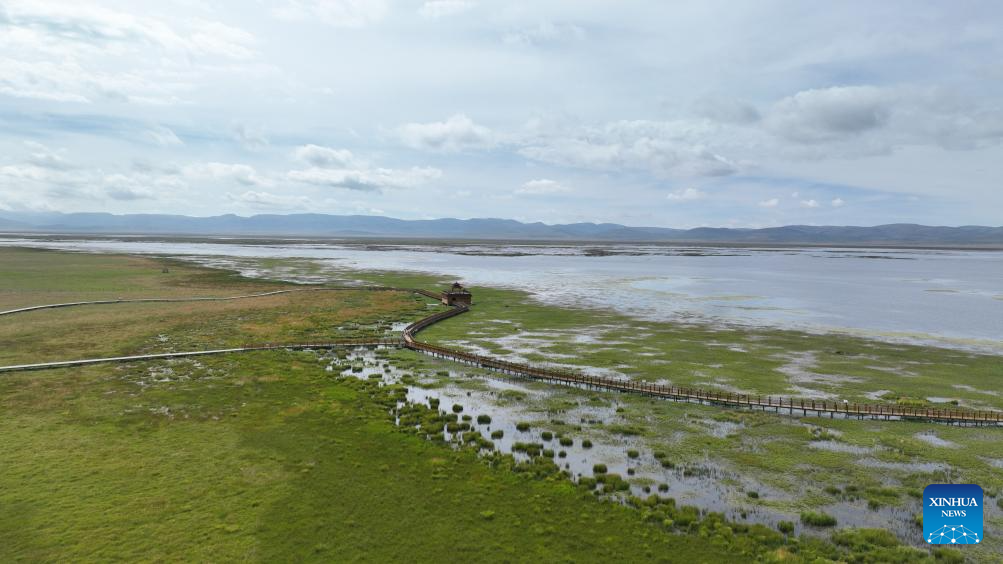 Scenery of Gahai Lake wetland in NW China