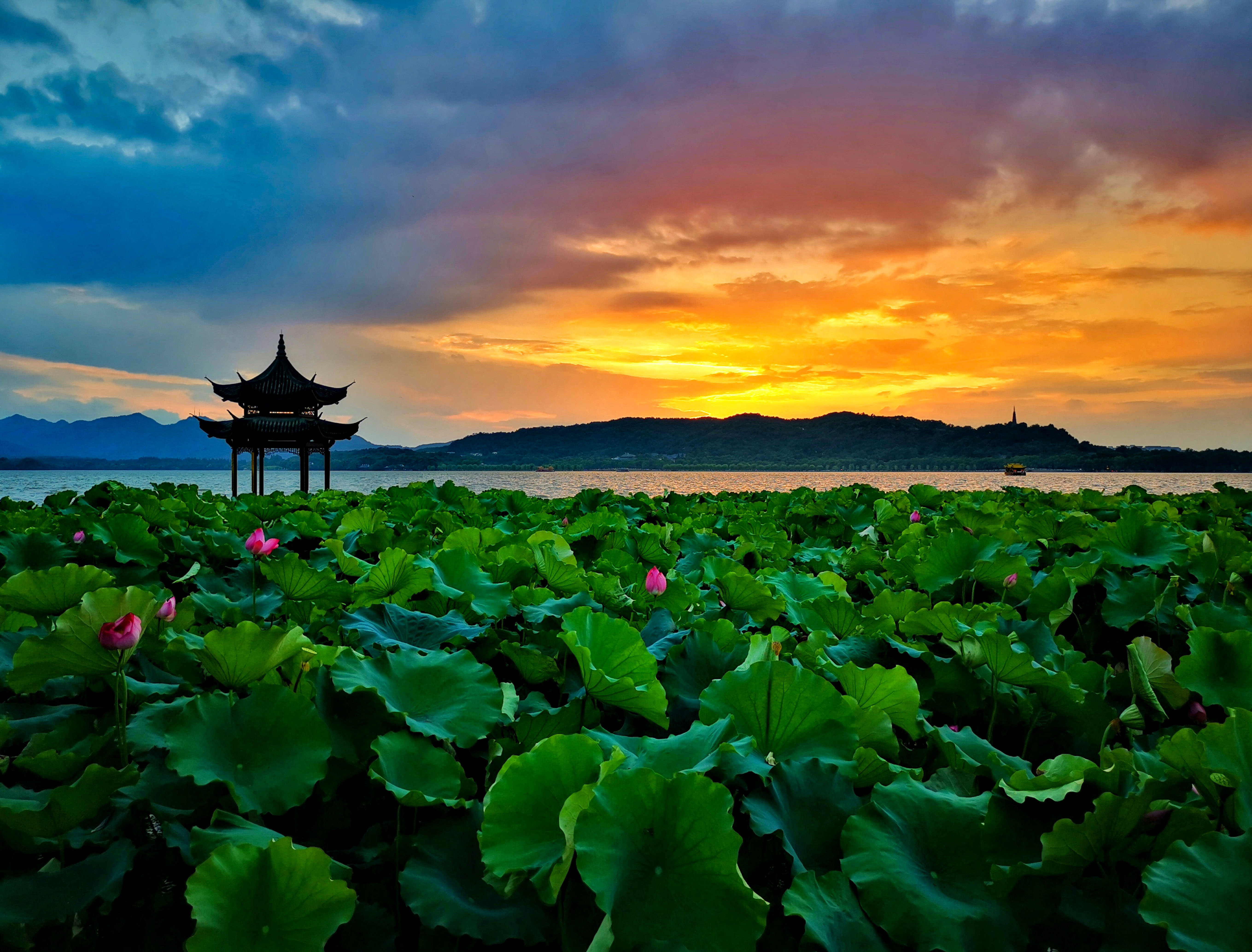 西湖：湖心印月，如畫江南 | 手機(jī)里的中國(guó)世界遺產(chǎn)