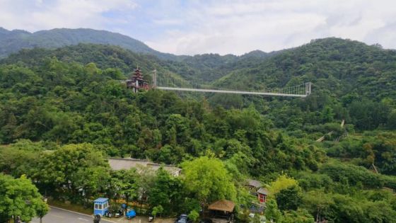 Best Dish in Yunfu: Beggars Chicken